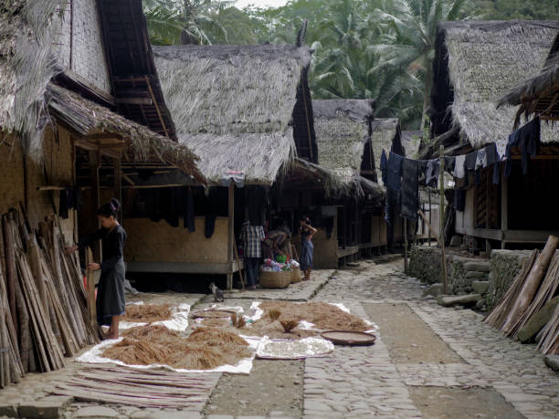 Ketahanan Pangan: Mari Belajar Dari Masyarakat Adat